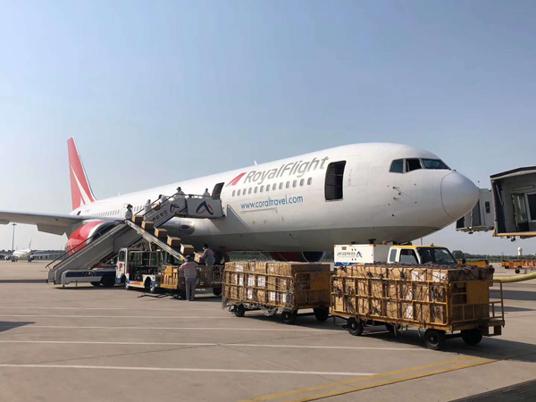 航空貨運(yùn)加急需要注意什么(圖1)